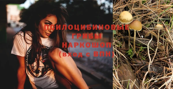 синтетический гашиш Михайловка
