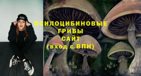стафф Михайловск