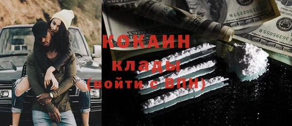 стафф Михайловск