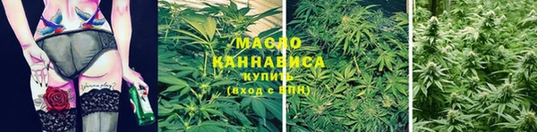 стафф Михайловск