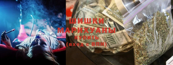стафф Михайловск