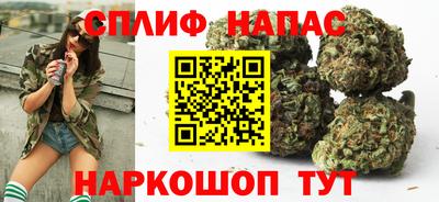 индика Нягань