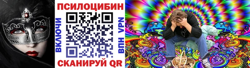 Псилоцибиновые грибы Cubensis  Нижнеудинск 