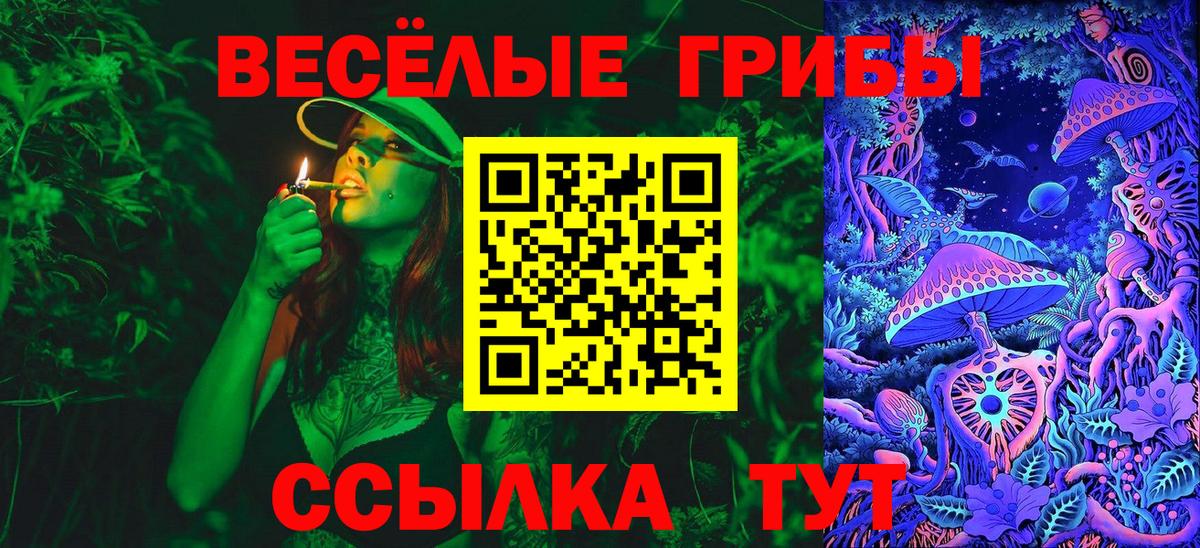 Галлюциногенные грибы прущие грибы  Нижнеудинск  Галлюциногенные грибы прущие грибы 