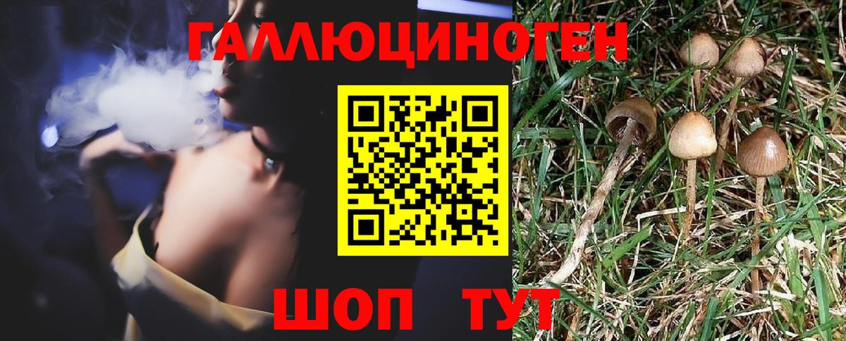 Псилоцибиновые грибы мицелий  Псилоцибиновые грибы Psilocybine cubensis  Нижнеудинск  Вход с VPN 