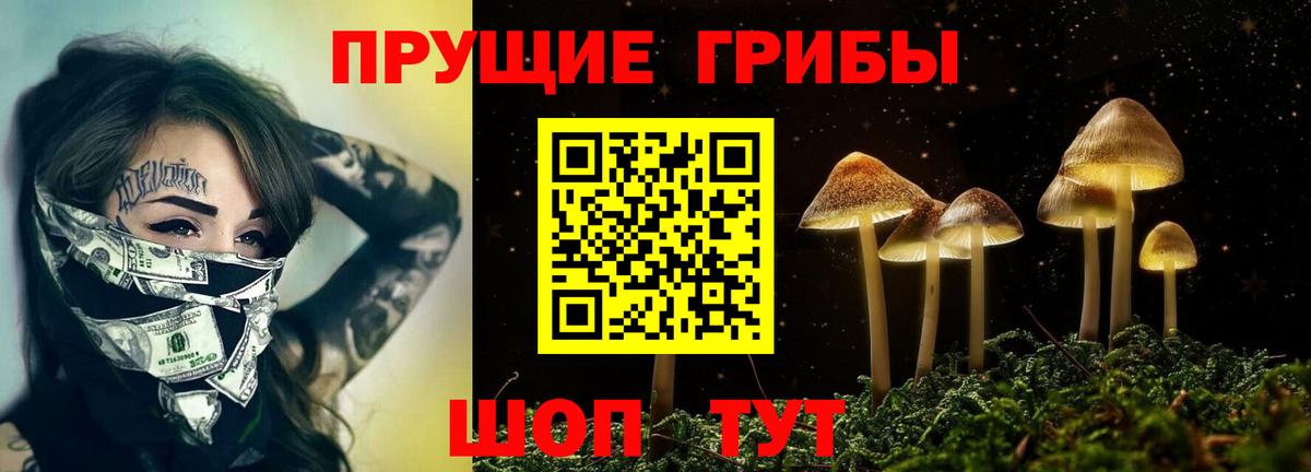 Галлюциногенные грибы Psilocybine cubensis  Нижнеудинск 